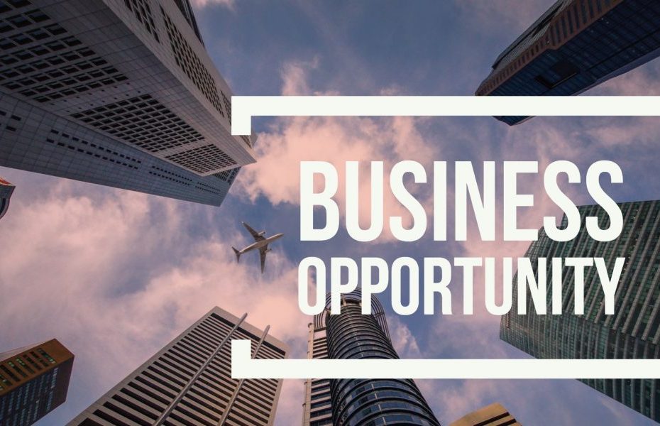 Business Opportunity Ideal