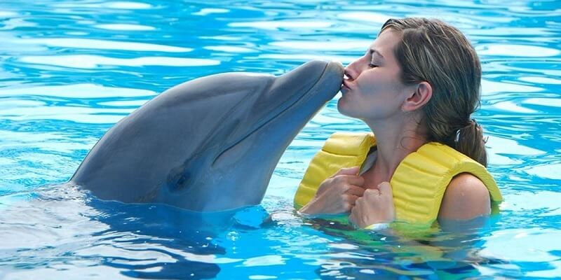 girl kissing dolphin