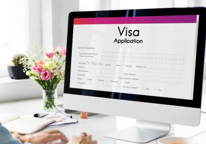 visa application form show in screen