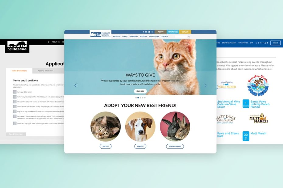 Kadonimo - Online Pet What Makes a Great Pet Website