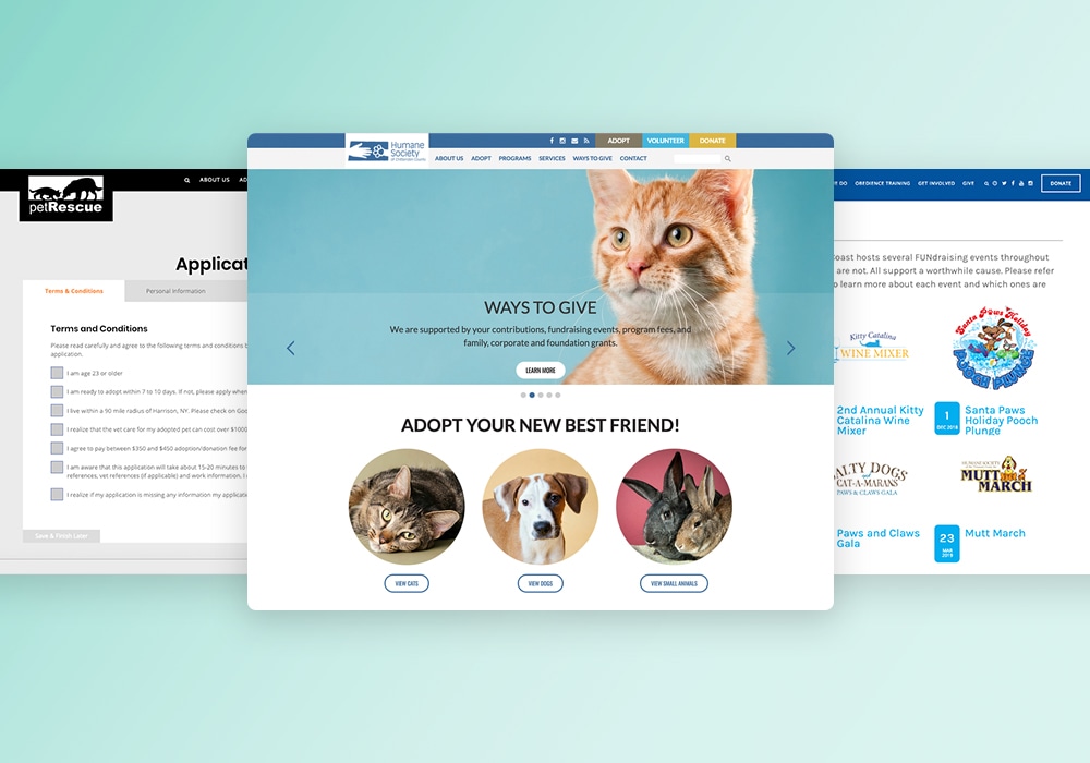 Kadonimo - Online Pet What Makes a Great Pet Website