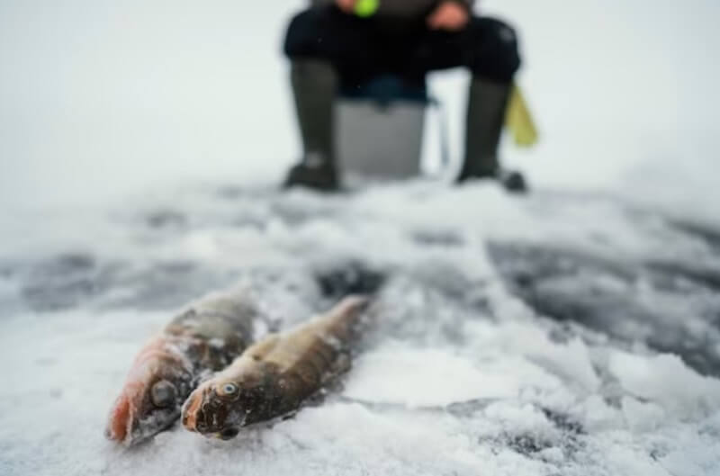 Ice Fishing Spots in the Adirondacks